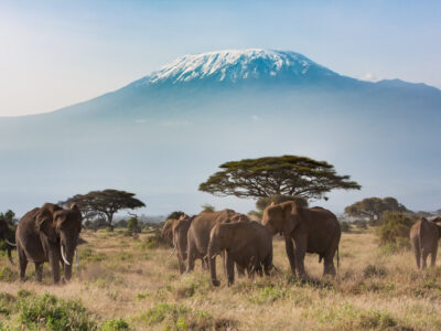 shutterstock_363076172+(1)